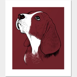 Lovely Beagle Posters and Art